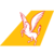 Pegasus Airlines 